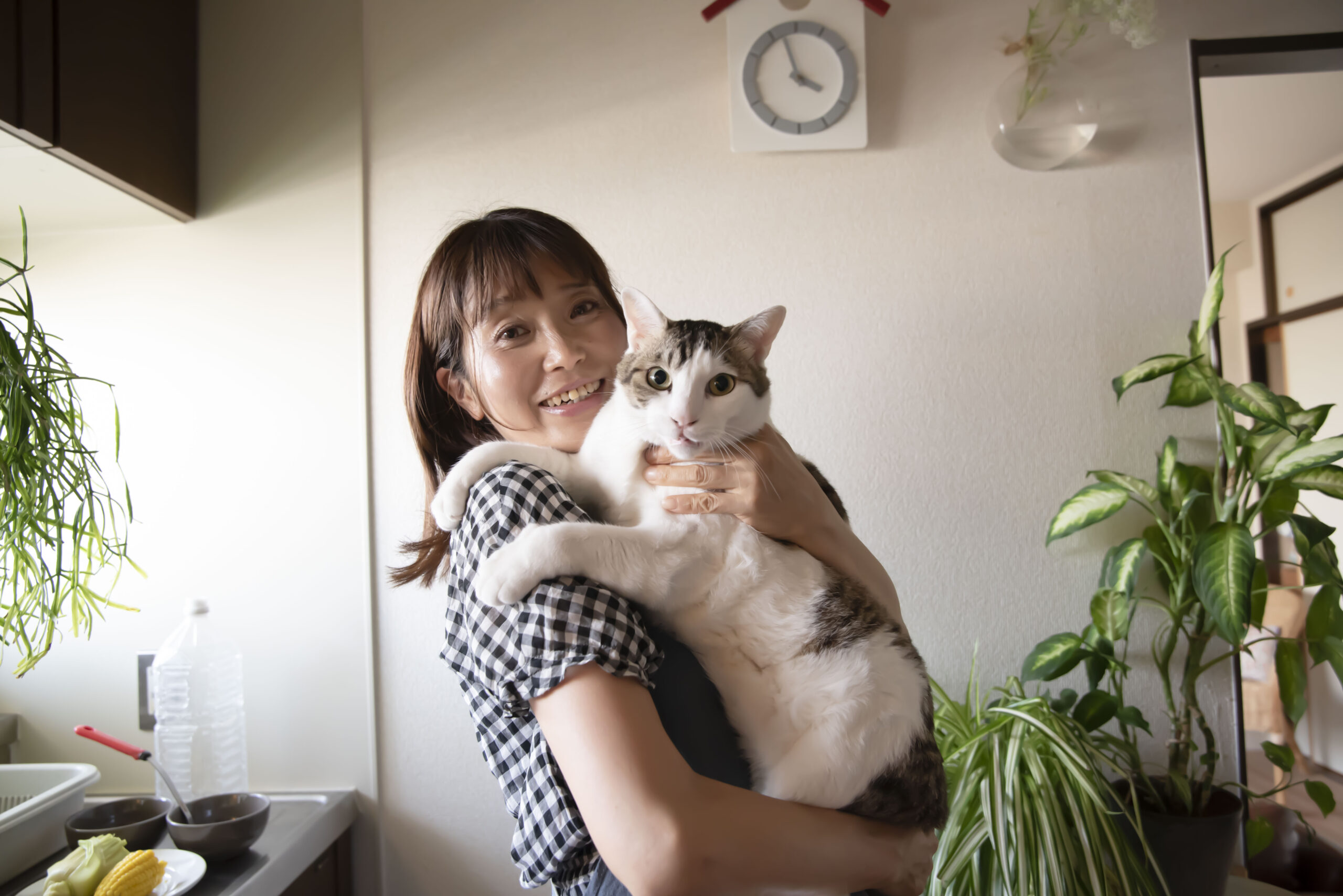 調理師　出張シェフ　加藤千智